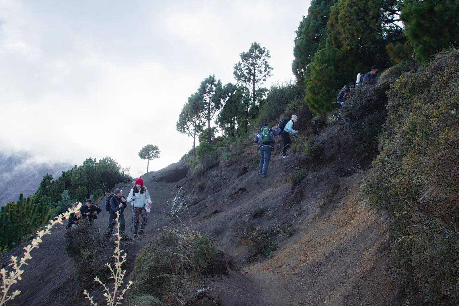 Hikers with daypacks on the Acatenango trail